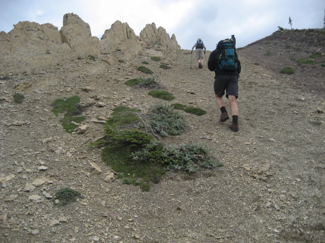 Climbing the back of a stegasaurus