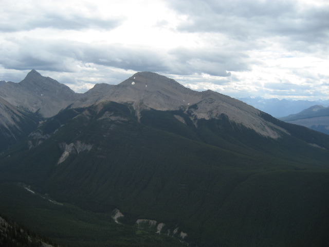 Looking South