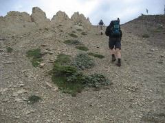 Climbing the back of a stegasaurus