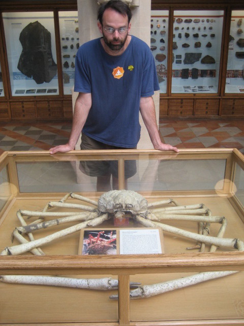 Giant frickin' crab