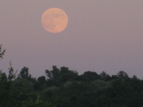 Full Moon Over Grey Fox