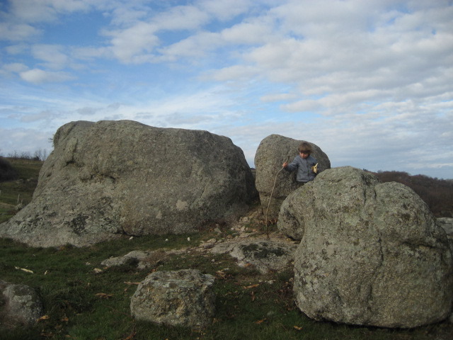 Druids
