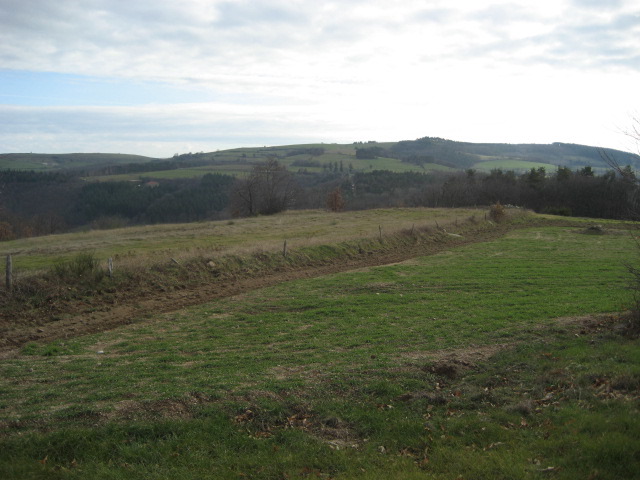Countryside