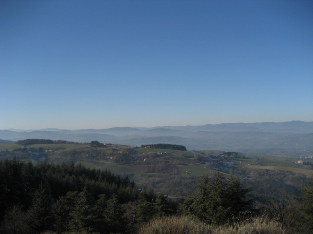 Vista