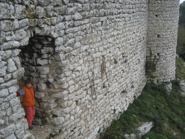 daphne wall