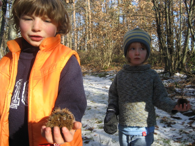Chestnuts