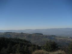 Vista