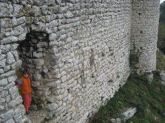 daphne wall