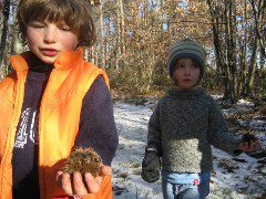 Chestnuts