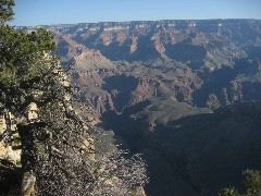 IMG_0677.JPG