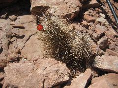 IMG_0709.JPG