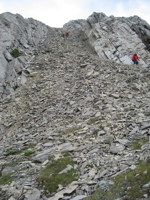 Riding the scree